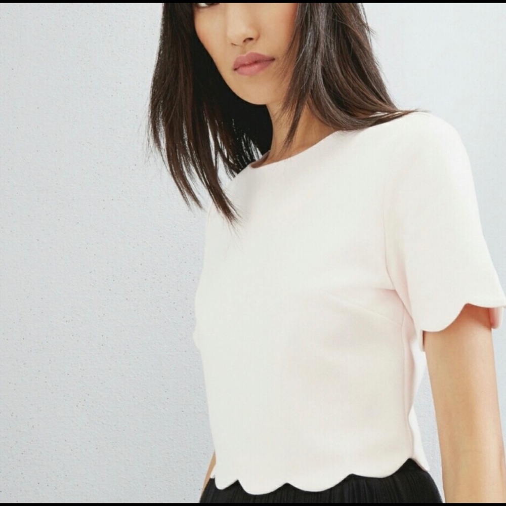 Ted Baker London Sippah Scallop Detail Cropped Top